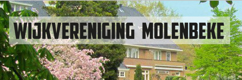Molenbeke's profile banner image