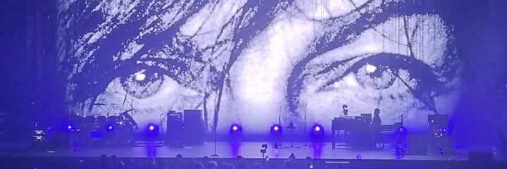 zaomik's profile banner image