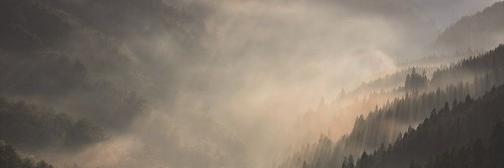 avesworld2715's profile banner image