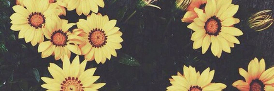 20mkoenig's profile banner image