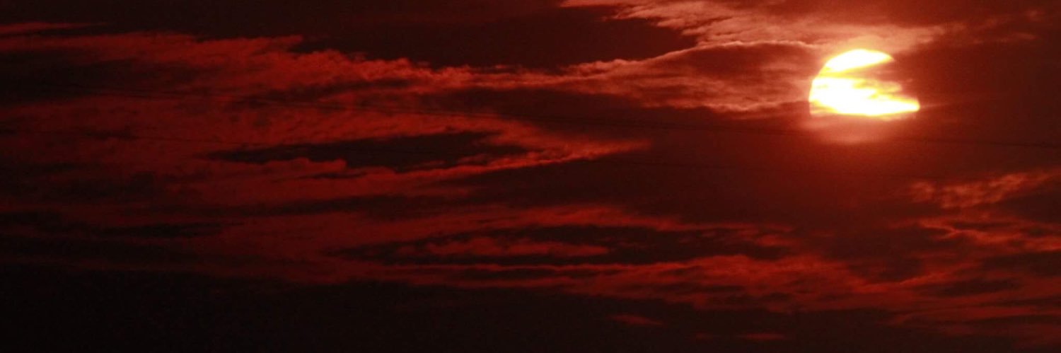 _limetree_'s profile banner image