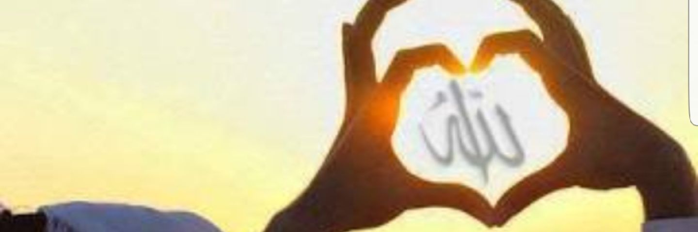 ysmnmasal's profile banner image
