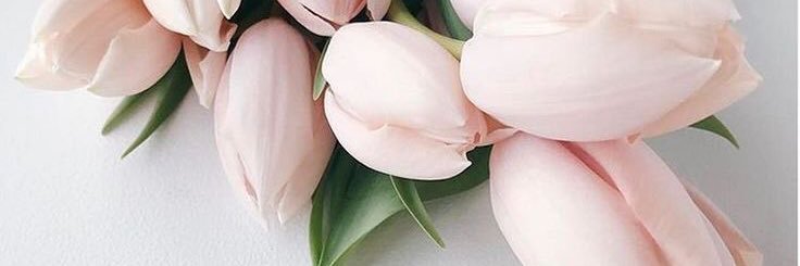 Tiffanygsprd's profile banner image