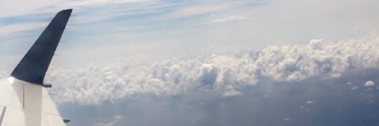 NiaIsAmazing's profile banner image