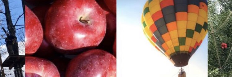 Barton_Orchards's profile banner image