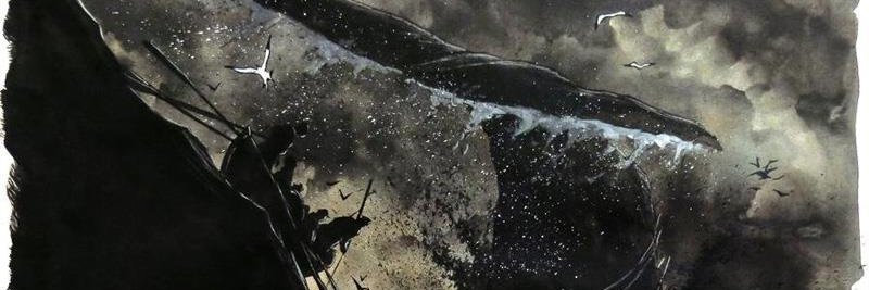DColdrey's profile banner image