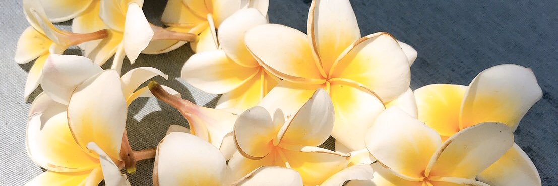 や banner