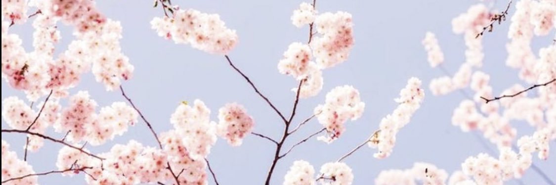 a_puras's profile banner image