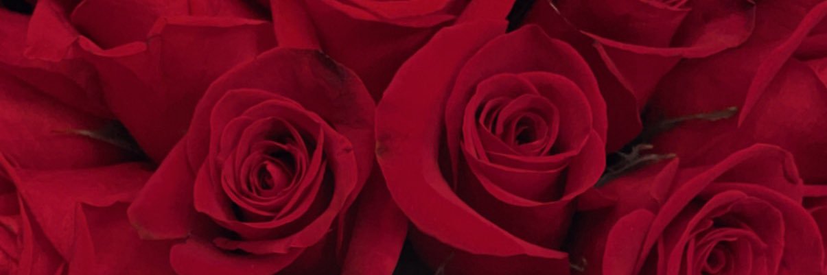 Fatima_Alyazidi's profile banner image