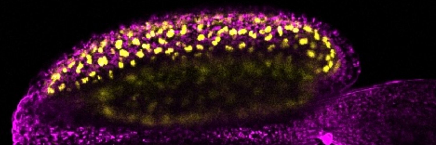 asbiotech1's profile banner image