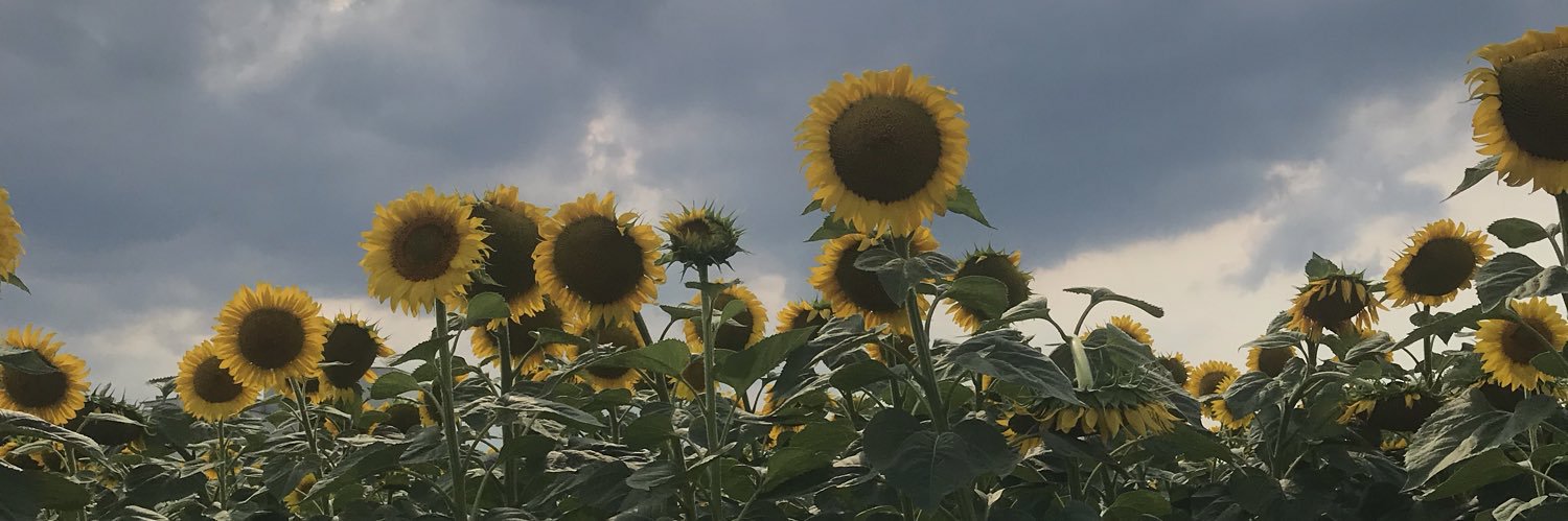 ozgetuncabayin's profile banner image