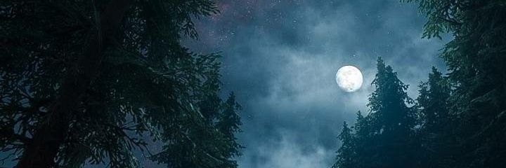Al_Bohalid's profile banner image