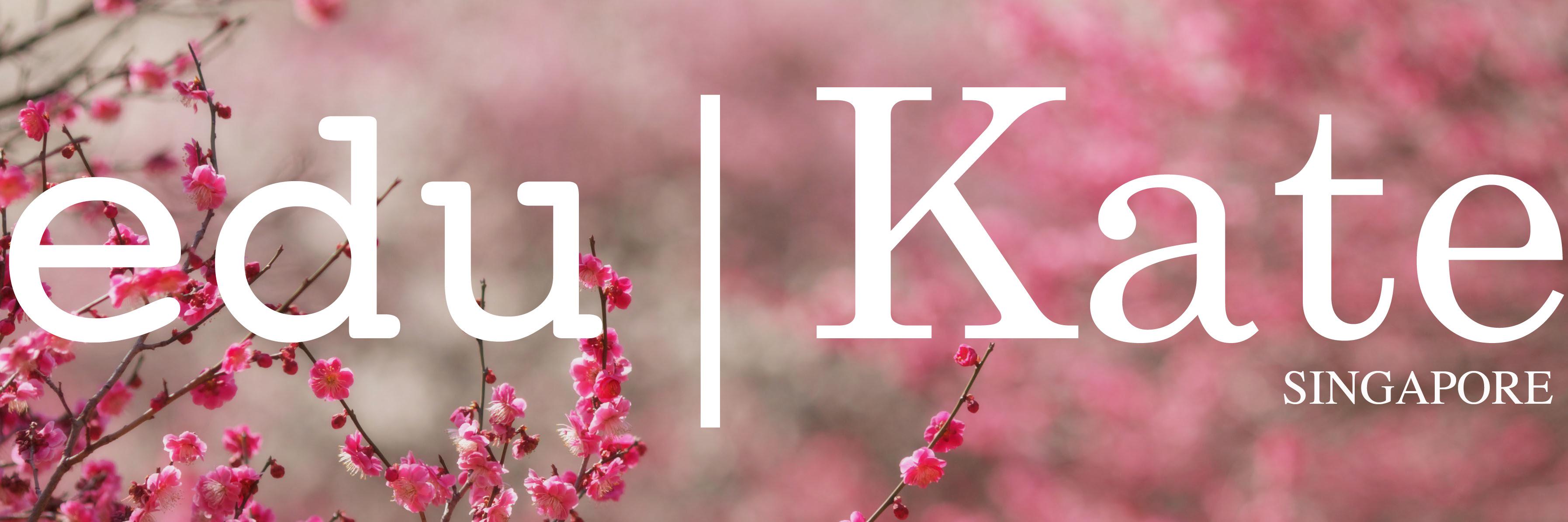 EduKateSg's profile banner image
