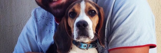 yiitsoley's profile banner image