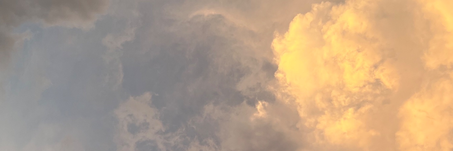 kusnao's profile banner image