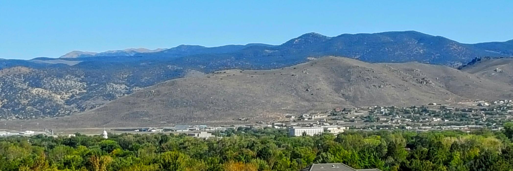 CarsonCityDem's profile banner image
