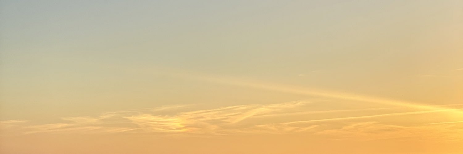 Fanny Fontan banner
