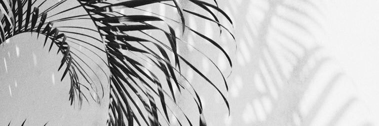 cpodlogar_'s profile banner image