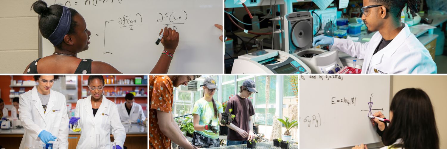 KSU College of Science and Mathematics banner