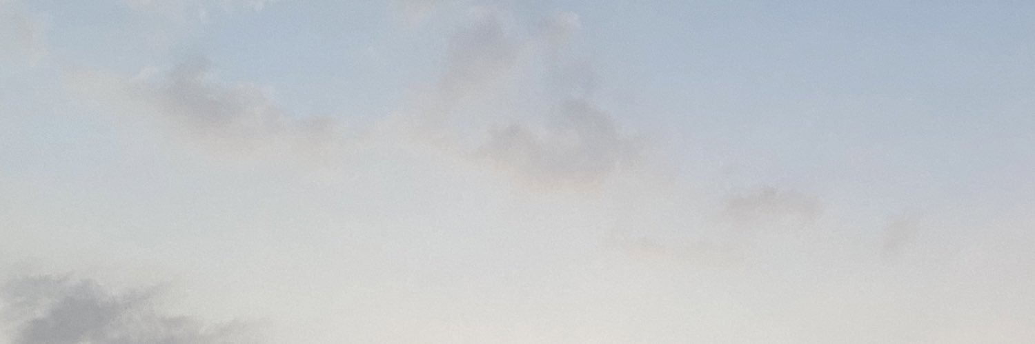 nayyayai's profile banner image