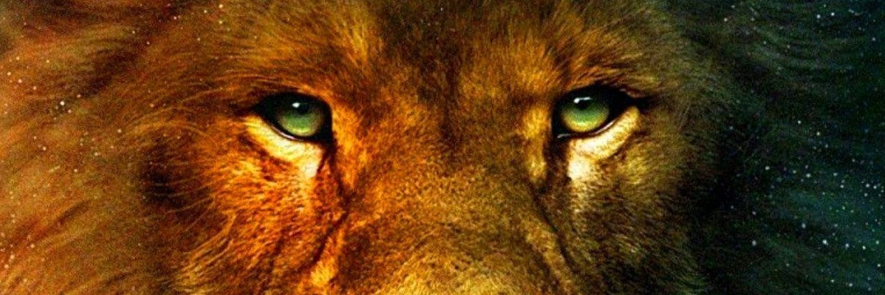 thisiskamil's profile banner image