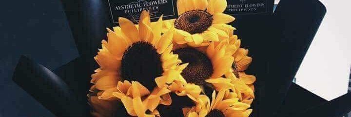 Aruni_Att's profile banner image