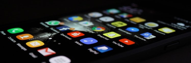 Duchess Shari banner