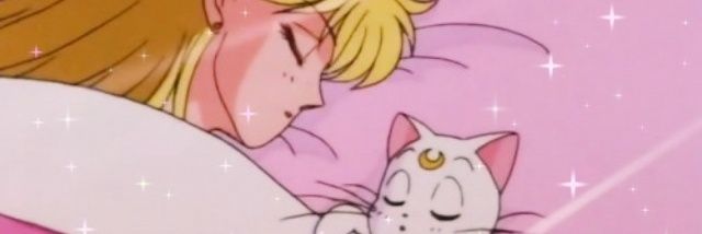 nashirotsuki's profile banner image