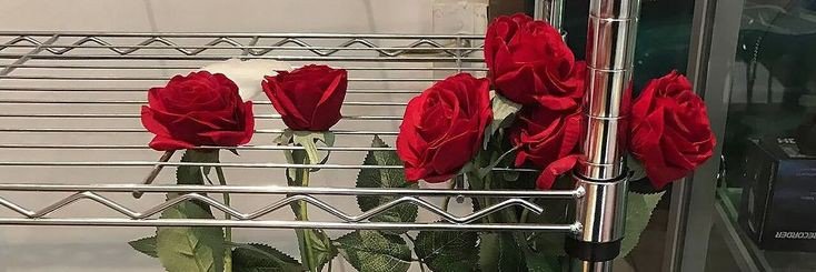 jisungchange's profile banner image