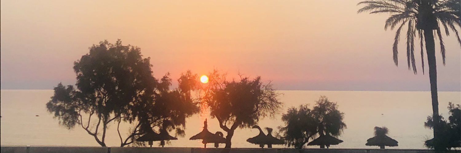 Fiddymac's profile banner image