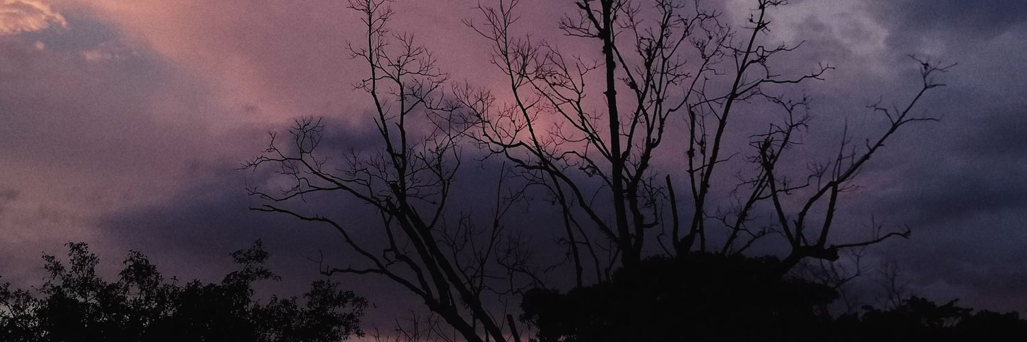Rocaa_'s profile banner image