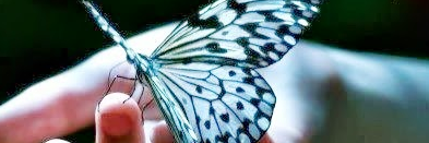 oygunbas's profile banner image