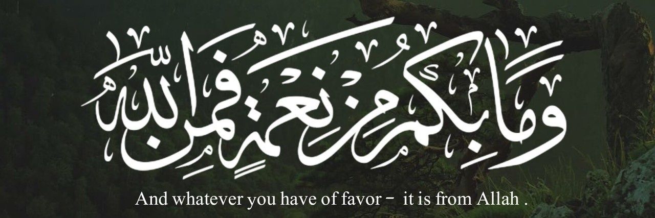 Nahed_SM's profile banner image