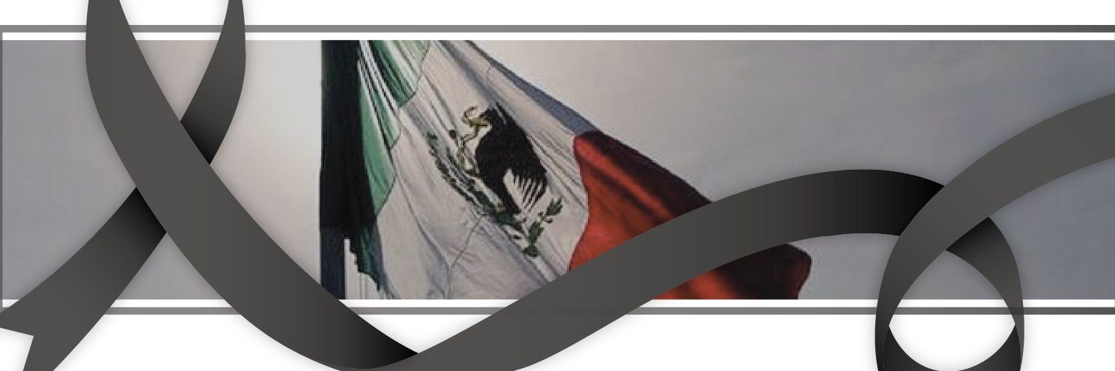 tldmanolo's profile banner image