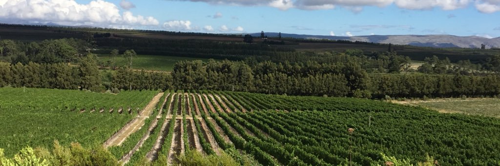 ABCWineKenA's profile banner image