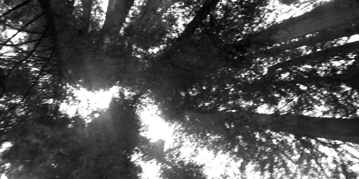 jsnook3021's profile banner image