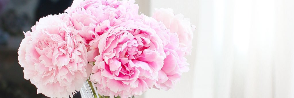 iE_Fatma's profile banner image