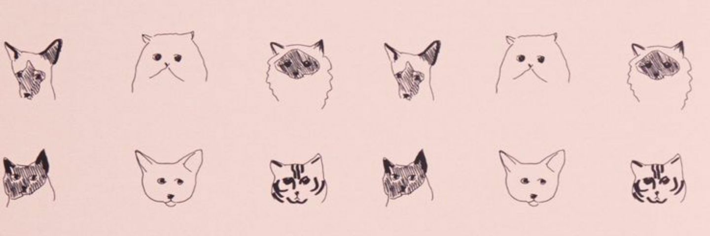 KMMcCthy's profile banner image