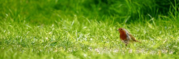 Farnellian Profile Banner