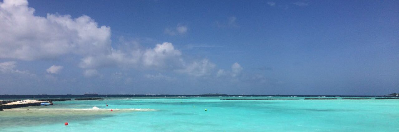 msd16's profile banner image