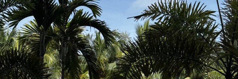 joyofchristy's profile banner image