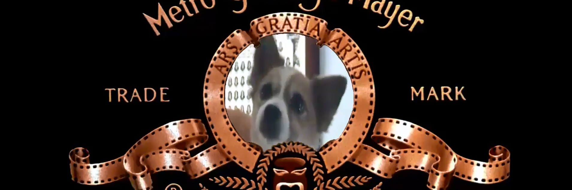 AnBayRo's profile banner image