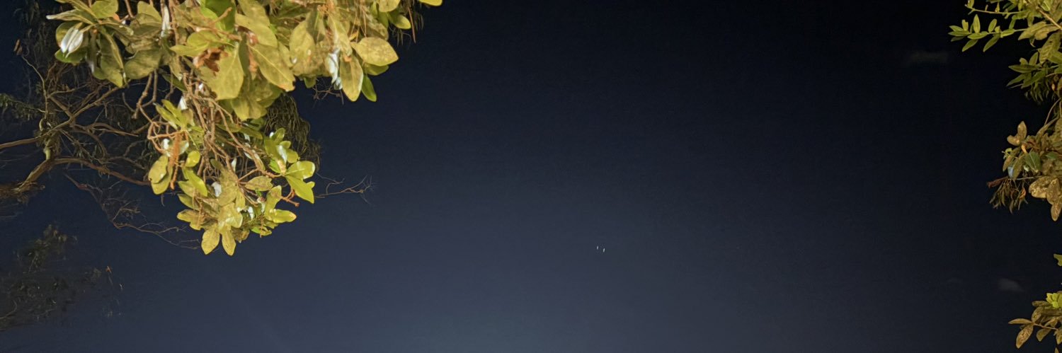 mafercahe's profile banner image