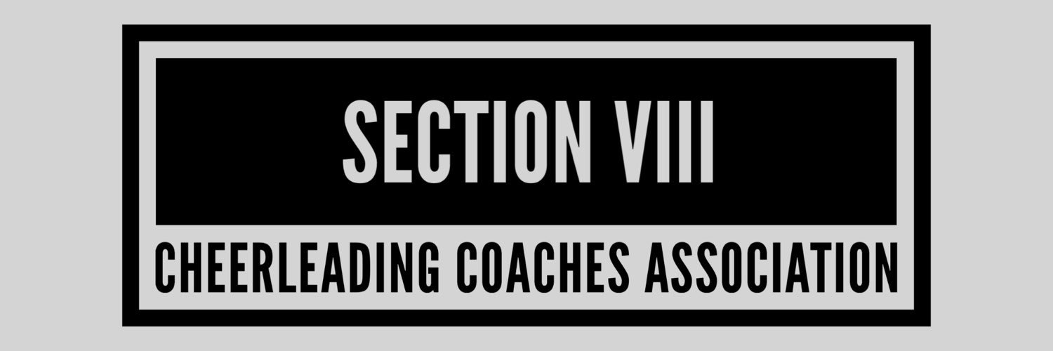 Section VIII Cheer banner