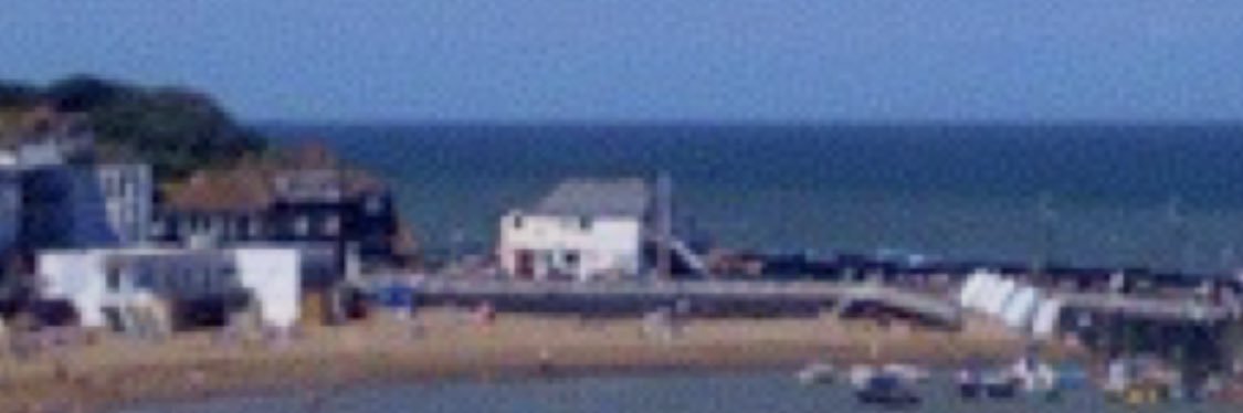 Nicolas Small banner