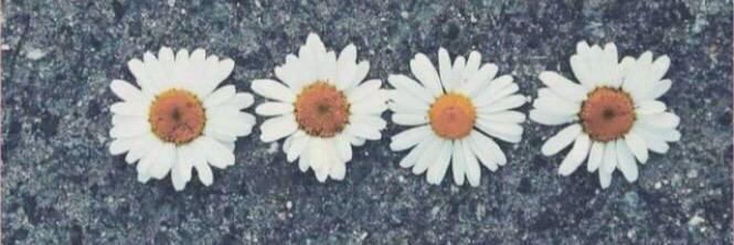 om_____5's profile banner image