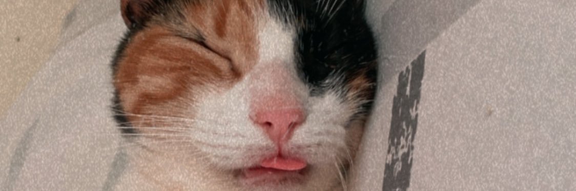 _LuzGimenez_'s profile banner image
