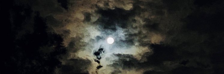 Estefania_Ron's profile banner image