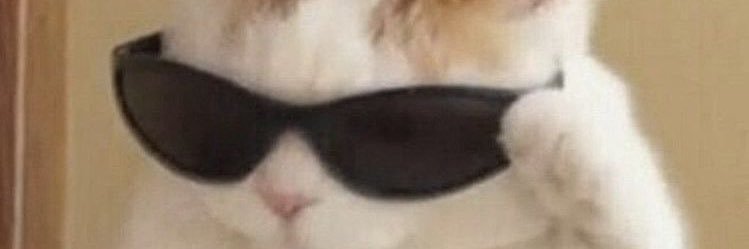 magalu banner