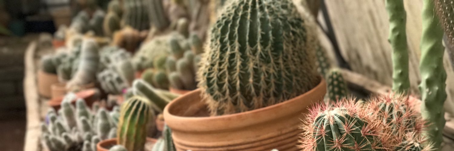 stitchandhammer's profile banner image